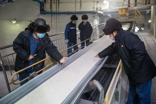 化肥廠順利完成第二批含海藻酸尿素生產訂單，監控設備保障高效運行